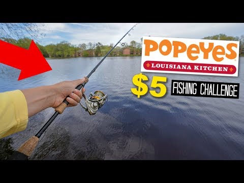 adjusting setting weight on a saltwater star drag reel Jigging World Prime Star Drag Reels – Tackle World