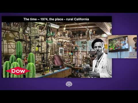 Pablo Mallaroni - The Effects of 2C-B vs. Psilocybin