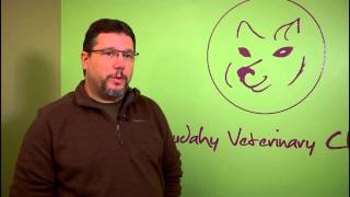 Kitten Vaccination Schedule