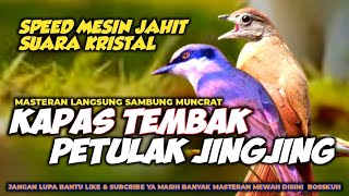 Download lagu MASTERAN MESIN JAHIT PETULAK JINGJING SAMBUNG KAPAS TEMBAK || KAPAS TEMBAK VS JINGJING PETULAK mp3 Download lagu MASTERAN MESIN JAHIT PETULAK JINGJING SAMBUNG KAPAS TEMBAK || KAPAS TEMBAK VS JINGJING PETULAK mp3