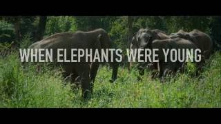 When Elephants Were Young (2016) Video