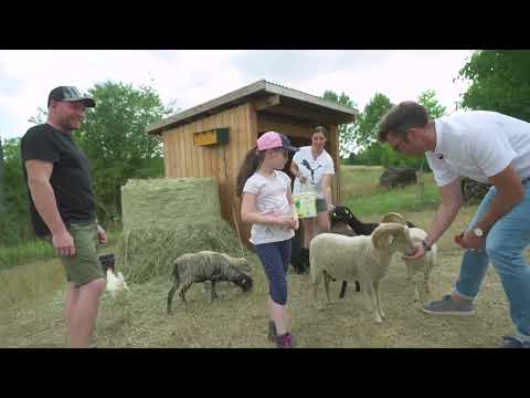 Expedition Mainschleife - Familienleben in Sommerach
