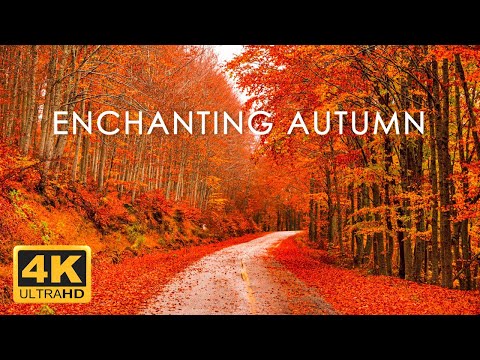 11 HOURS of 4K Enchanting Autumn Nature Scenes + Relaxing Piano Music for Stress Relief