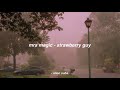 Mrs Magic - Strawberry Guy (sub. español)