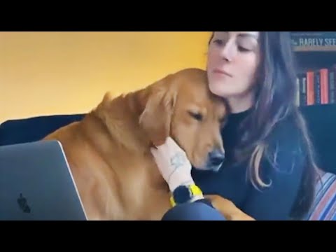 Le chien qui m'a donné envie d'avoir un 2e chien