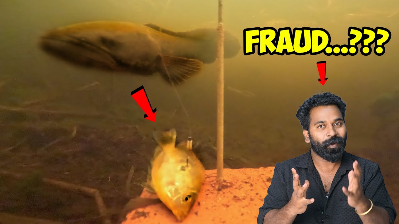 Snake Head Fishing | Real Or Fake | M4 Tech |