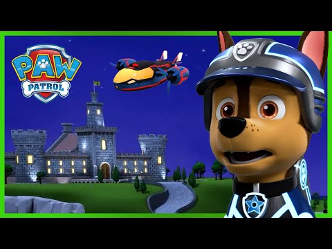 Chase Finds the Princess Painting 🖼 + More Cartoons for Kids | PAW Patrol