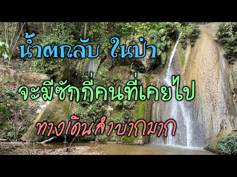 น้ำตกแม่ช่อฟ้า (น้ำตกตาดเหมย)