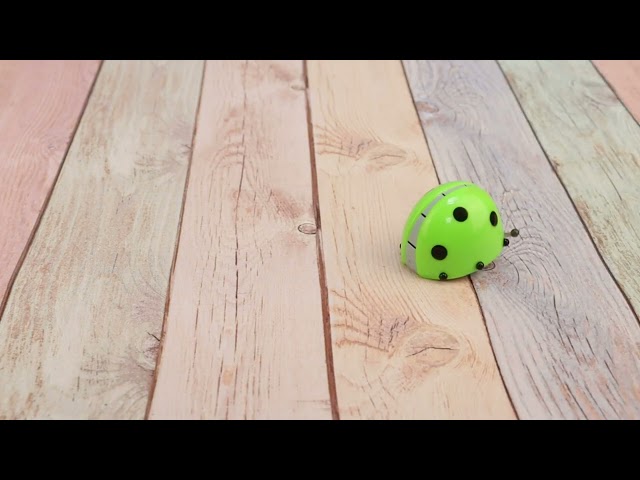 Игрушка заводная Hans жучок в ассортименте - видео