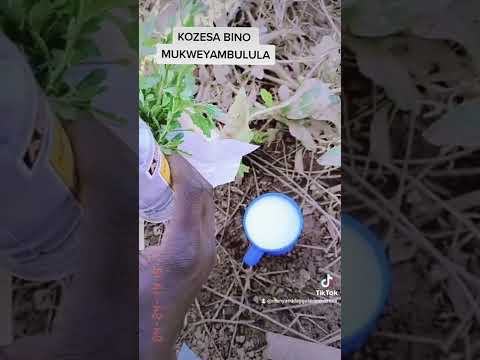 AYAGALA OKWEYAMBULULA KO EBISIRANI KOOLA BINO