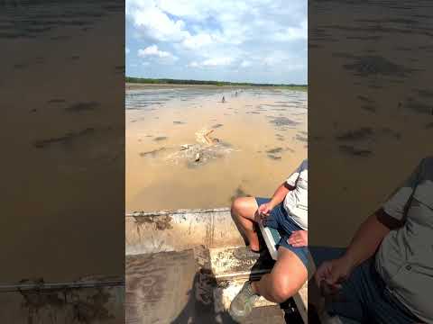 CRAWKID DOES WHAT HE WANTS!!! #crawfish #louisiana #cajun #food