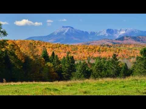 2013 Paul Cyr DVD Sample Video