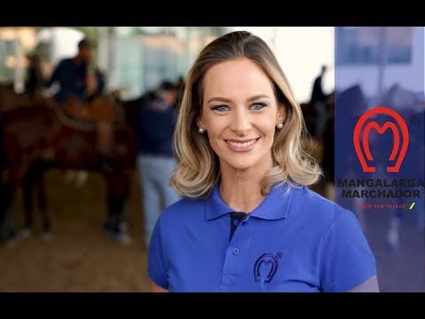 Mangalarga Marchador TV - 412