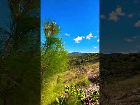 ⛰️Cordillera Cacahuatique en Departamento de MORAZAN 🗺️ EL SALVADOR 🇸🇻 #viral #shorts #elsalvador