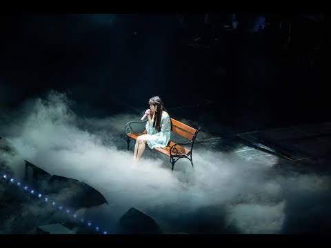 [FANCAM] 171209 싫은 날 (Bad Day) 아이유 (IU) Palette Seoul Concert