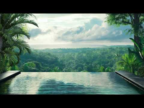8 Hours Tropical Swimming Pool Ambience with Tropical Forest View  - Relaxing Sound Of Nature
