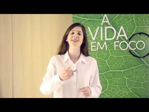 A Vida em Foco #218 - A importância do conhecimento dos ensinos de Kardec no estudo do Espiritismo