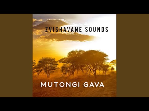 Mutongi Gava