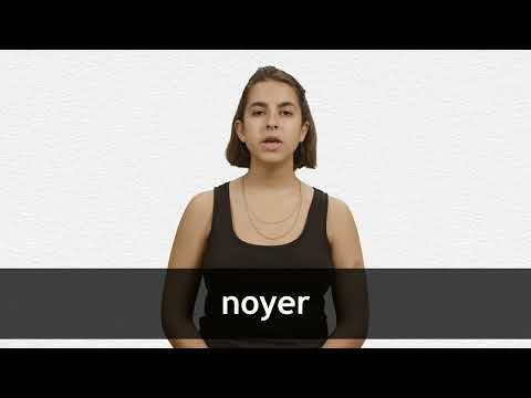 How to pronounce NOYER in French