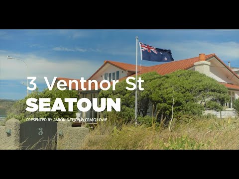 3 Ventnor Street, Seatoun - Wellington (Aaron Nation & Craig Lowe)