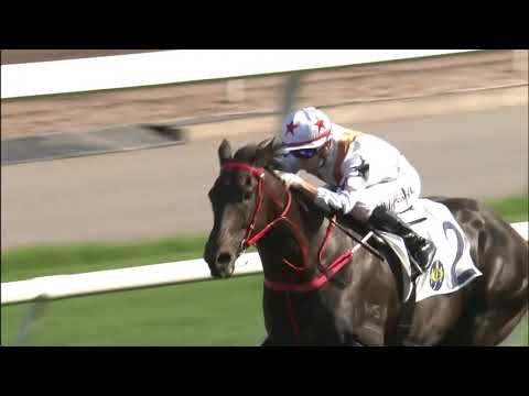 11/4/2021 (581) Courier Wonder - J Moreira