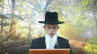 דרך השם רמח"ל I חלק ב - פרק 5, באופן ההשגחה I הרה"ג יוסף הללויה שליט"א I שיעור 115
