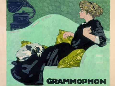 Roaring 20s: International Novelty Orch. (Nat Shilkret's Band) - Plain Jane, 1924