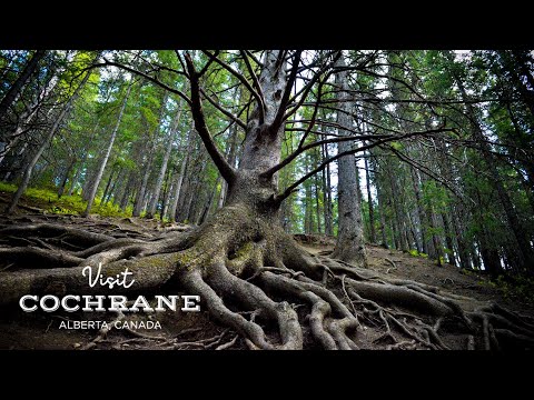 History, nature and wildlife at the Ranche - Visit Cochrane