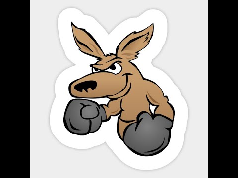 Toczek - Kangoory (Najlepsze VIDEO)  █▬█ █ ▀█▀ (RealTok#6)