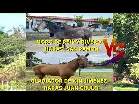 CARRERAS DE CABALLOS 2025 SANTA ROSA DEL SARA