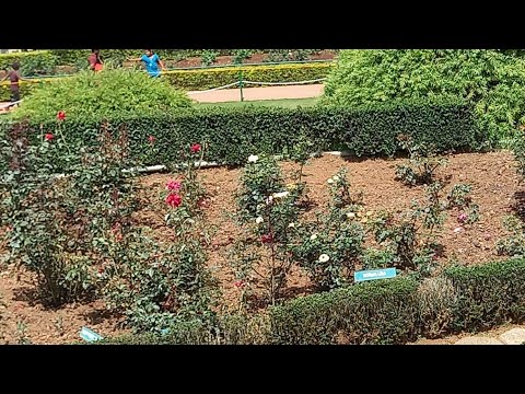 Kurumugil Song|| Film: Sitha Raman|| Veenai Version🎶