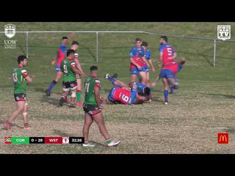 2019 IDRL 1st Grade Round 12 Highlights - Corrimal Cougars vs Wests Devils