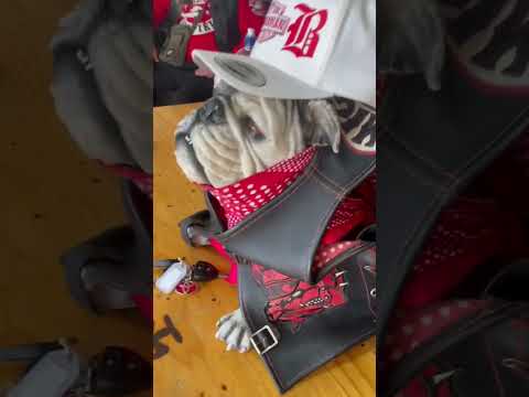 Part 2 behind scenes (PATCH ON)