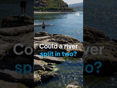 Germany's primary shipping route is drying out | DW News