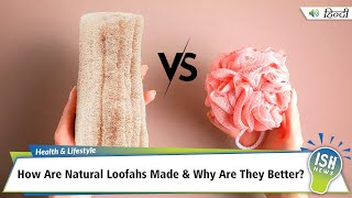 How Are Natural Loofahs Made & Why Are They Better?