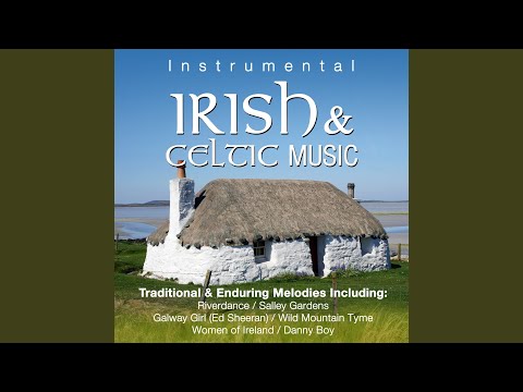 Reel Around the Sun / Riverdance (Instrumental)