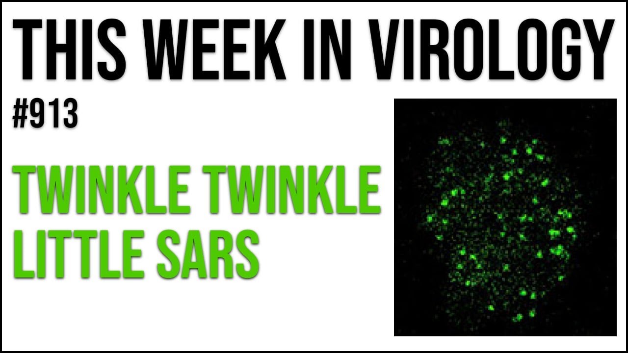 TWiV 913: Twinkle twinkle little SARS