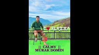 Download lagu CALMY COVER || MURAK DOMIN || mp3 Download lagu CALMY COVER || MURAK DOMIN || mp3