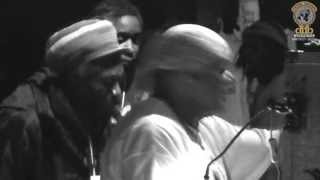 U.N.O.D. Weekender 2013 - Iration Steppas feat. Danman "Babylon a Trap" ⑦