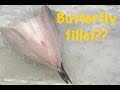 How to BUTTERFLY fillet fish - Seabass