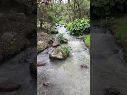 🚨 La cascada de Cogua que te hará olvidar el estrés 😍🌊