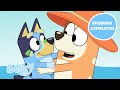 Mundo De Bluey 30 MINUTOS EPISÓDIOS COMPLETOS Bluey Português Brasil Canal Oficial
