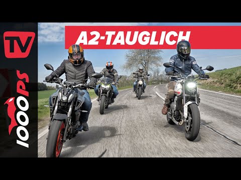 Kleine Naked Bikes - großer Fahrspaß! Kawasaki Z650, Suzuki SV650,Triumph Trident 660, Yamaha MT-07