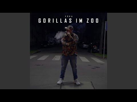 Gorillas im Zoo