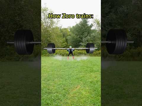 How Zoro & Sanji train… #anime #onepiece #zoro #sanji