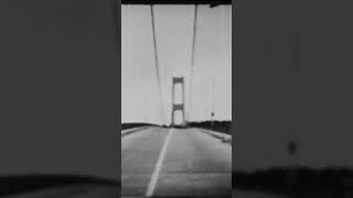 The Tacoma Narrows Bridge Collapse