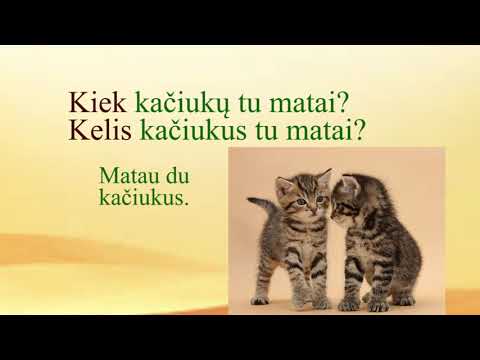 LITHUANIAN LESSON 133 - QUESTION WORDS FOR NUMBERS (1) - Skaitvardžių klausimai (1)