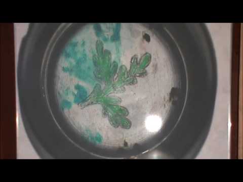 Daina.LT 2017 NOMINACIJA - Inga Rinkevičienė - Žvenk, žirgele per marias plaukdamas