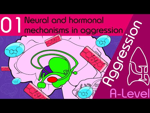 1 Neural & hormonal