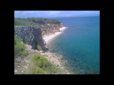 Thrillseeker  (remix)